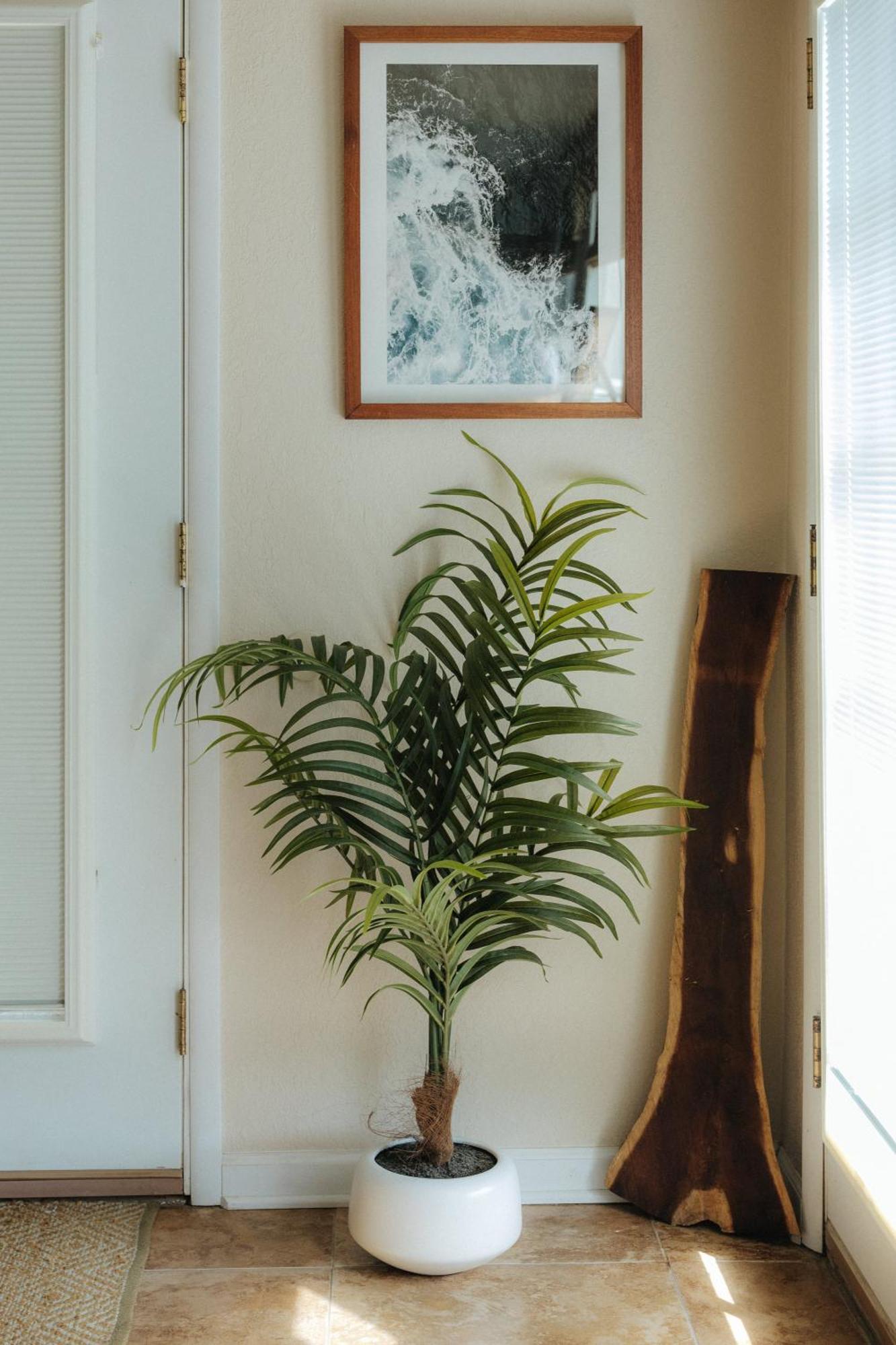 Appartement The Ohia At The Koi House Kailua-Kona